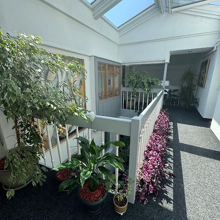 Villa Helvetia Târgu-Mureş Exteriör bild