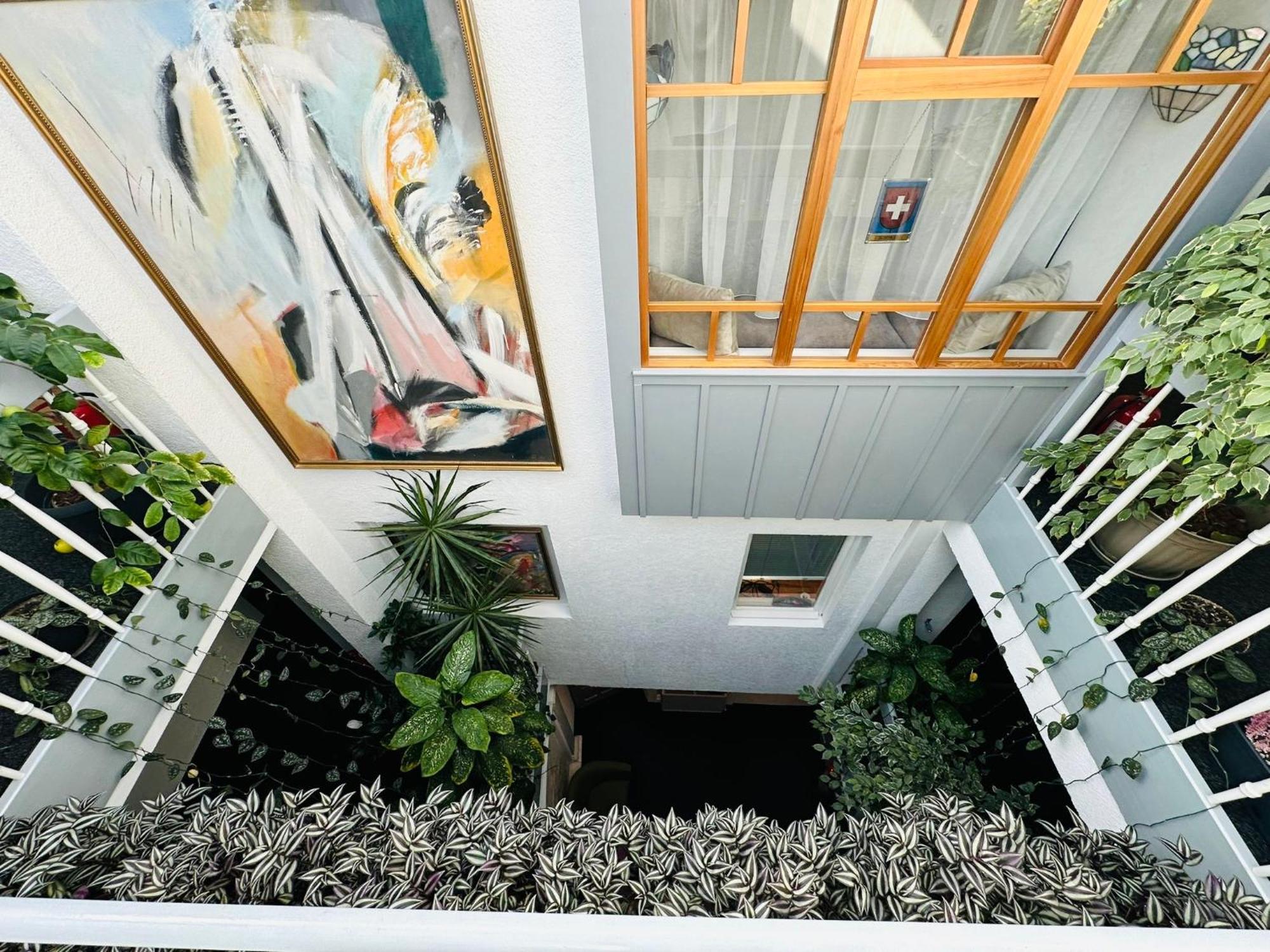 Villa Helvetia Târgu-Mureş Exteriör bild