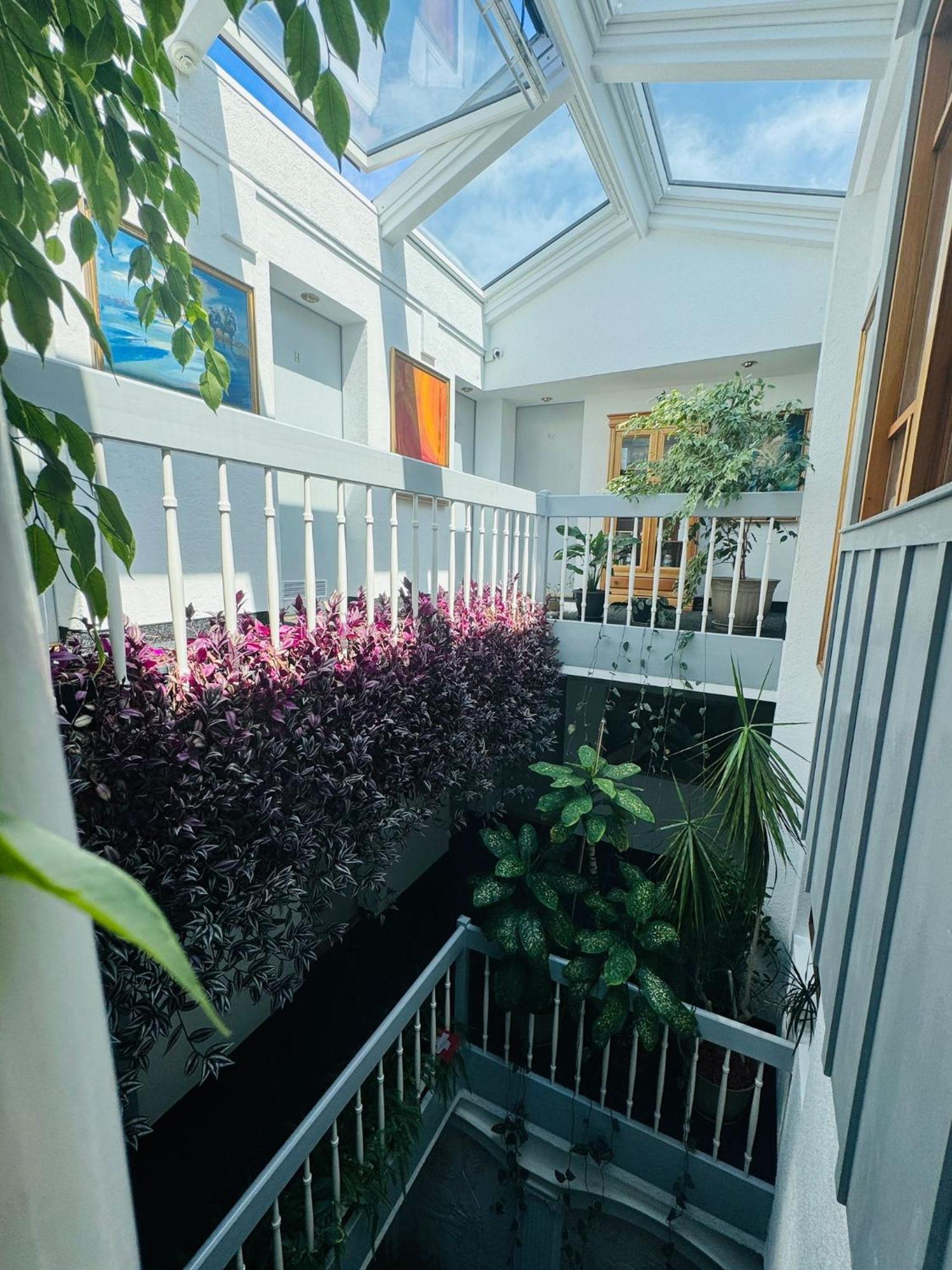 Villa Helvetia Târgu-Mureş Exteriör bild